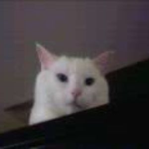 Meet your Posher, Beverly